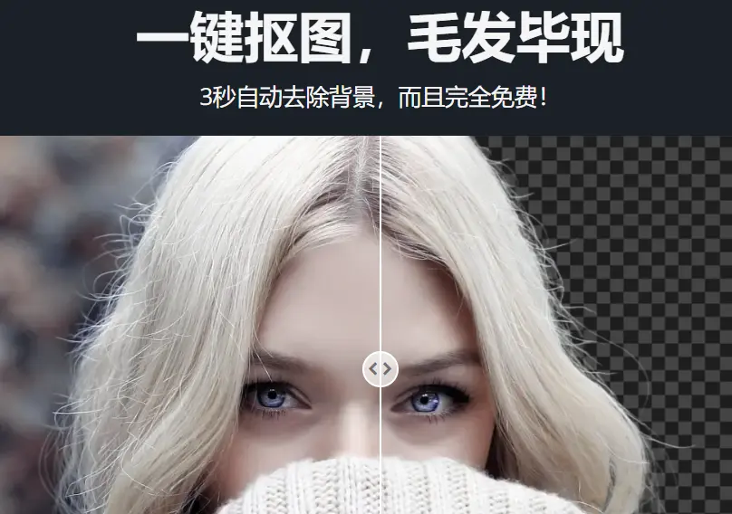 Removephotos : 毛发级抠图工具